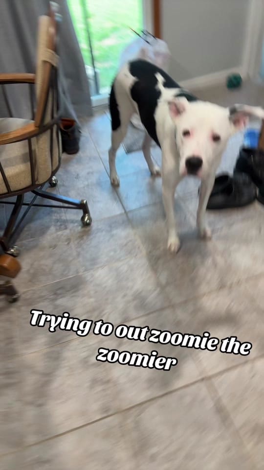 Post 7 by Cory Walker on TikTok (video)