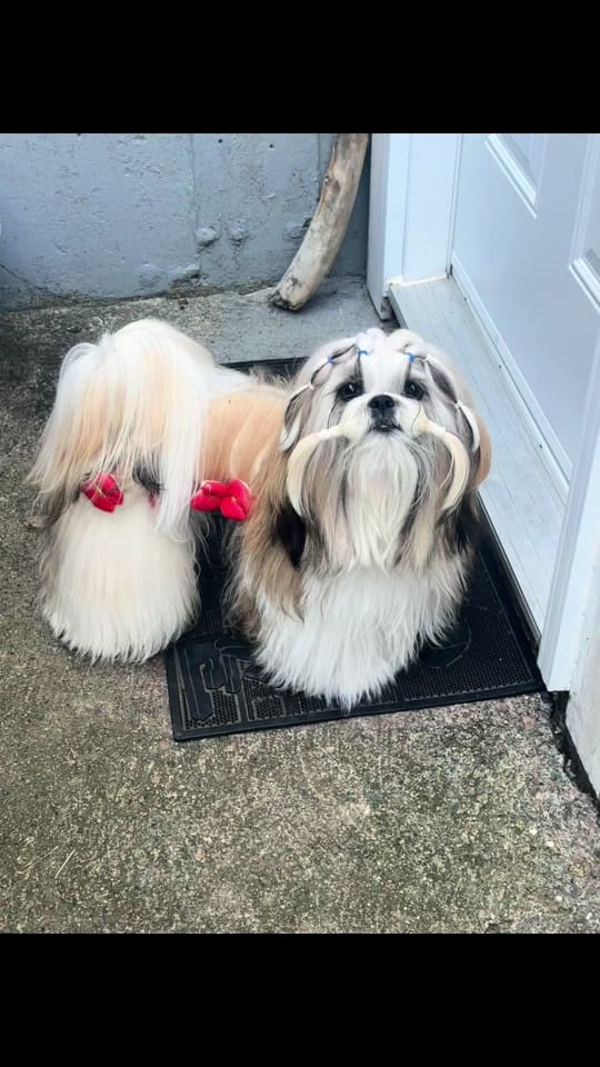 Post 9 by Tiffany Robyn on TikTok (video)