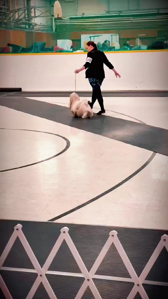 Post 1 by Tiffany Robyn on TikTok (video)