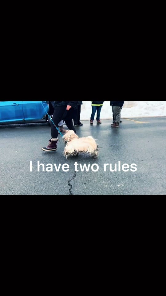 Post 3 by Tiffany Robyn on TikTok (video)