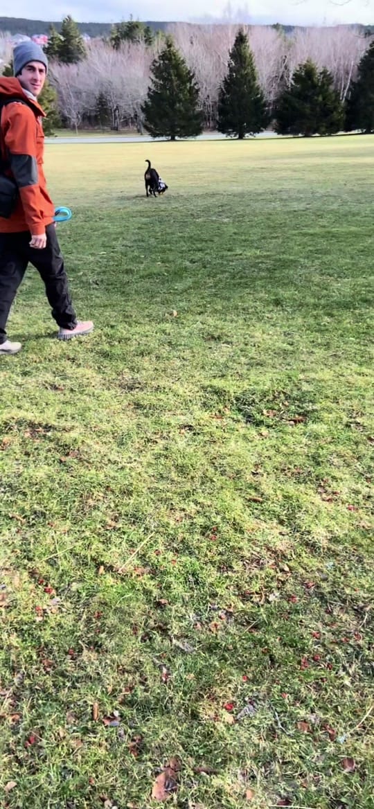 Post 6 by Tiffany Robyn on TikTok (video)