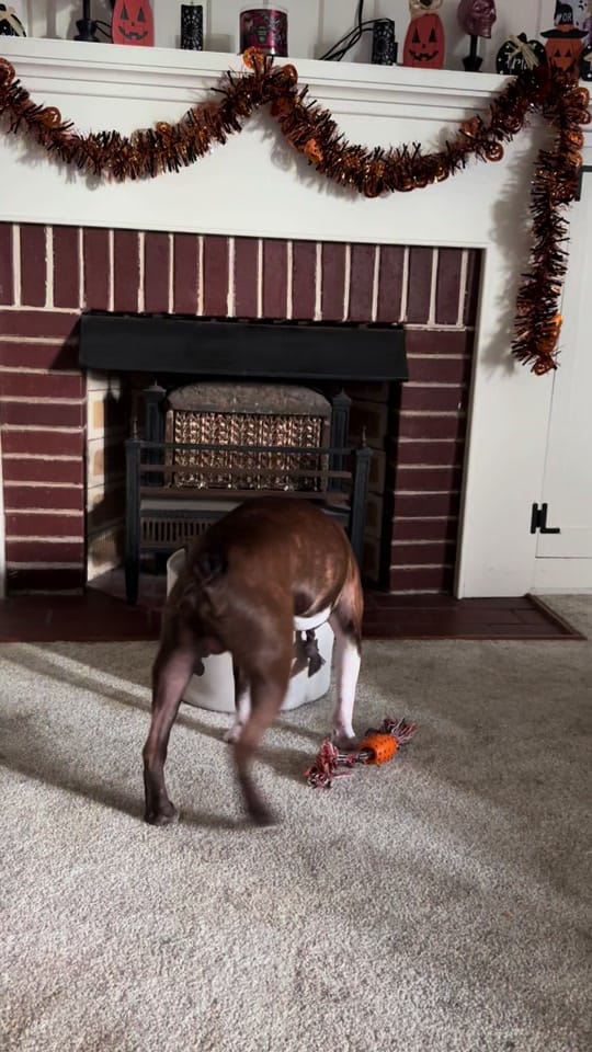 Post 4 by Kayla Marie on TikTok (video)