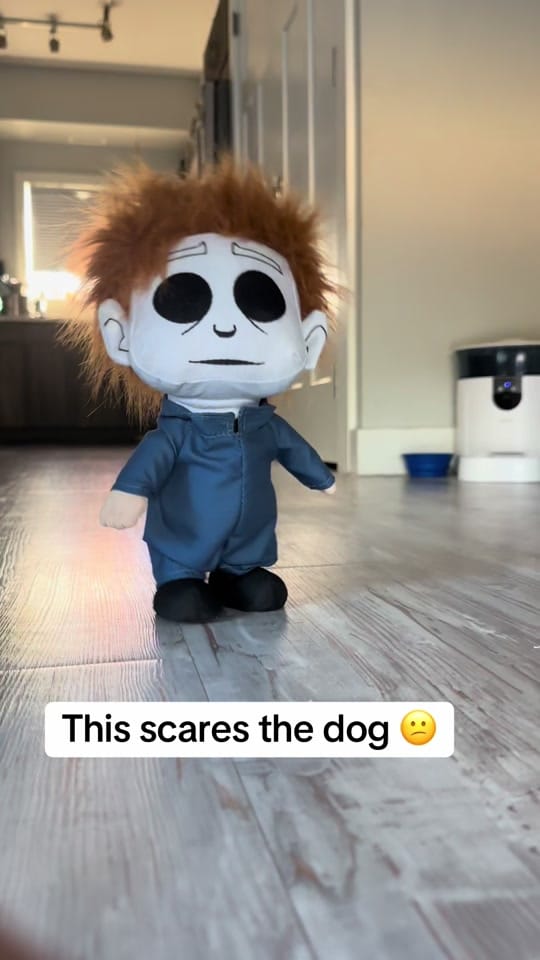 Post 3 by NickyJackson on TikTok (video)
