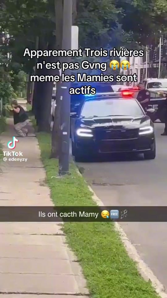 Post 4 by ACTU QUEBEC POLICE👮🏼‍♂️🚓🚨 on TikTok (video)