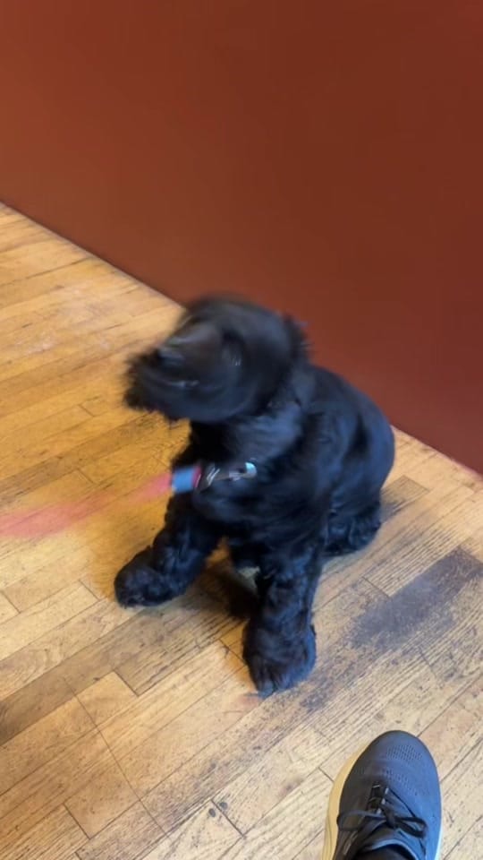 Post 6 by Kristina Melissa on TikTok (video)