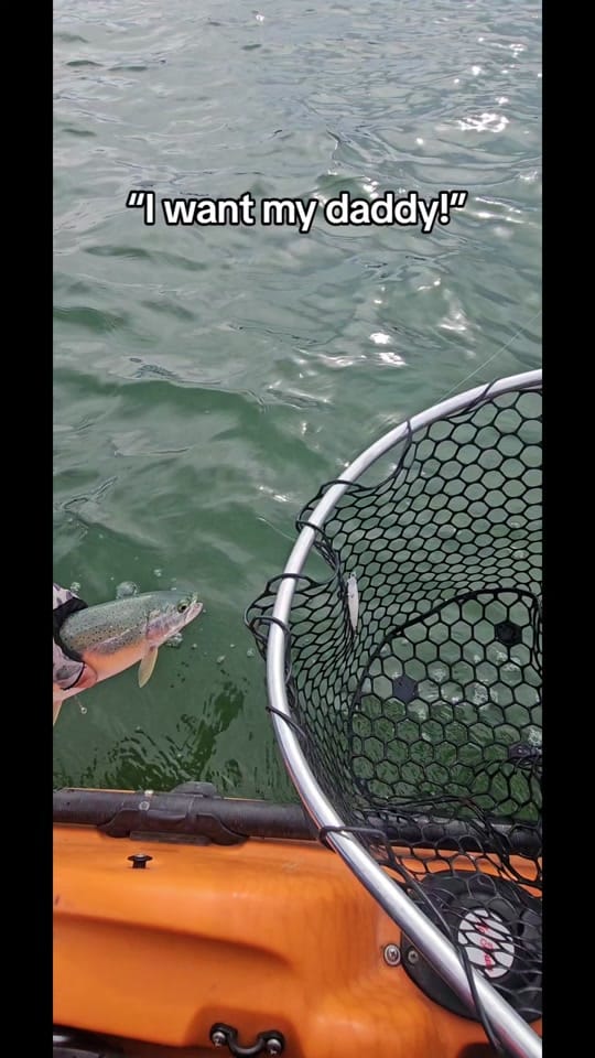 Post 8 by Trouthead_Kayakfishing on TikTok (video)