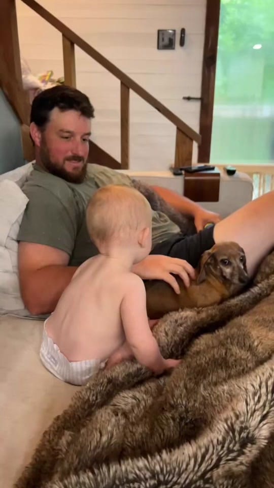 Post 5 by @highwayhoosiers | Skoolie on TikTok (video)