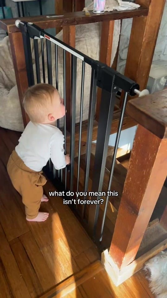 Post 1 by @highwayhoosiers | Skoolie on TikTok (video)