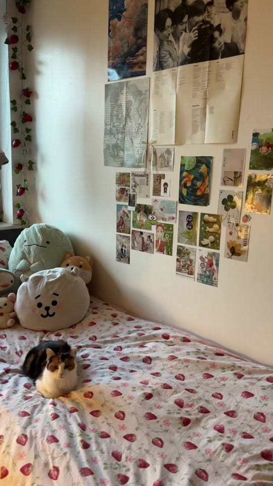 Post 8 by idil 🪷 on TikTok (video)