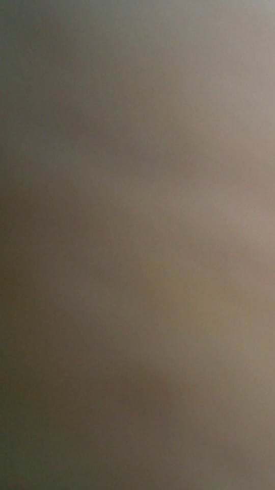 Post 1 by 🇨🇦Canada Wildlife Cams on TikTok (video)