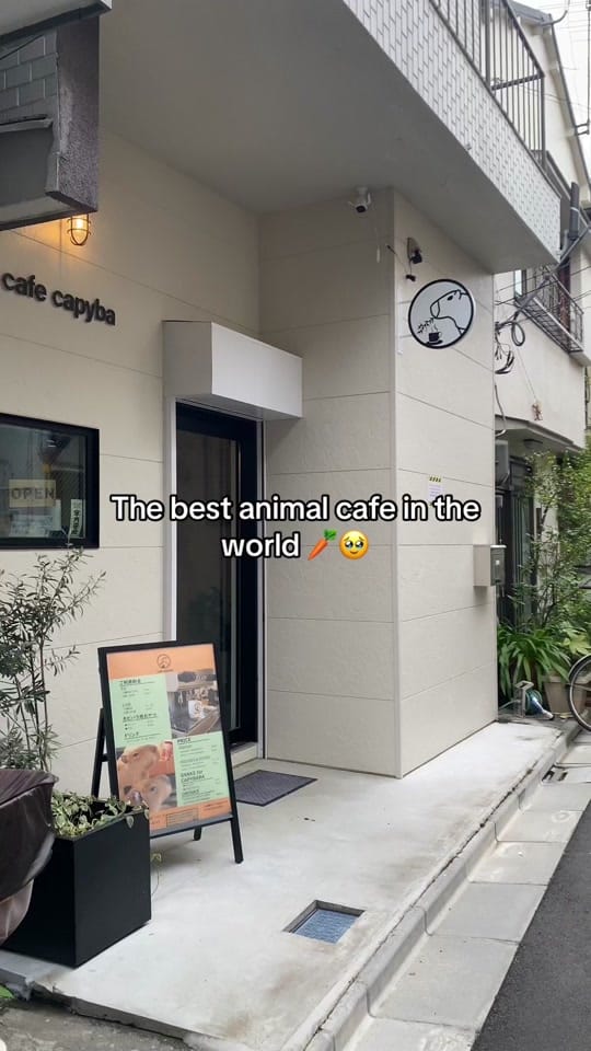 Post 10 by Chloe Stores on TikTok (video)