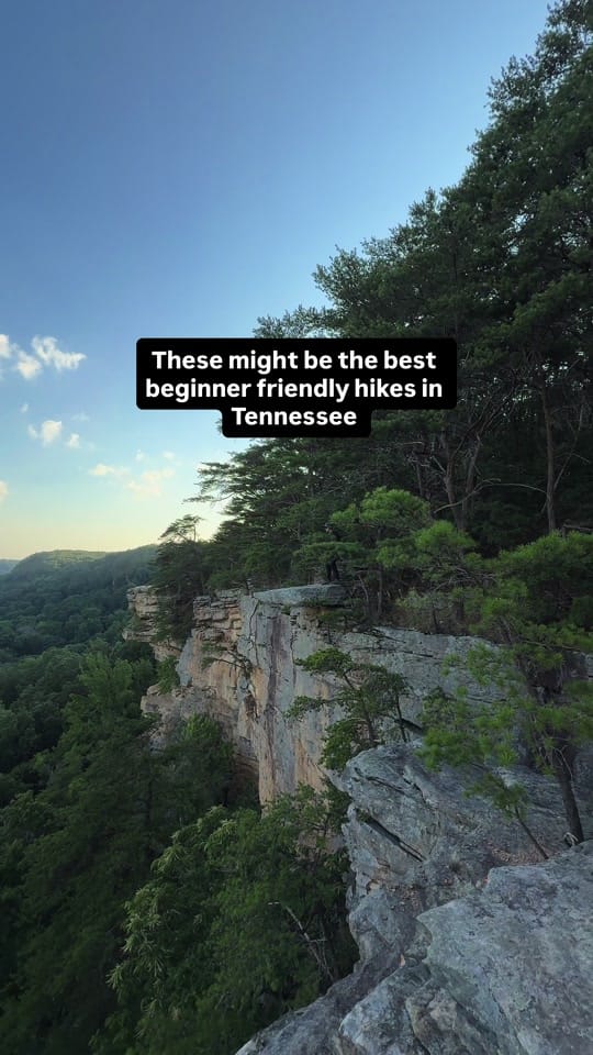 Post 2 by Michael Enriquez on TikTok (video)