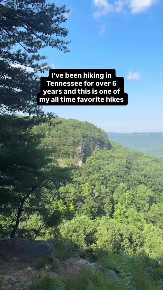 Post 3 by Michael Enriquez on TikTok (video)