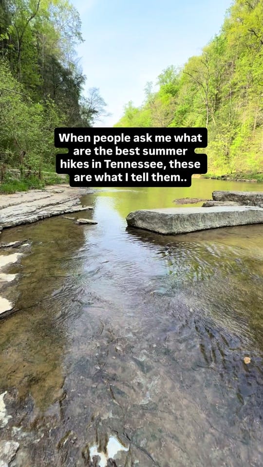 Post 5 by Michael Enriquez on TikTok (video)