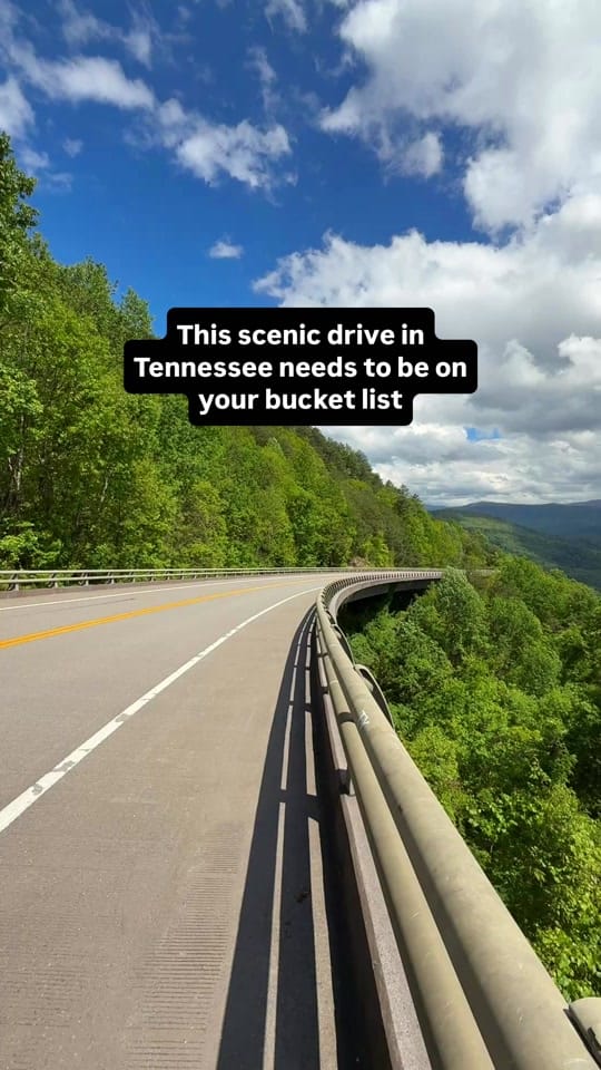 Post 9 by Michael Enriquez on TikTok (video)