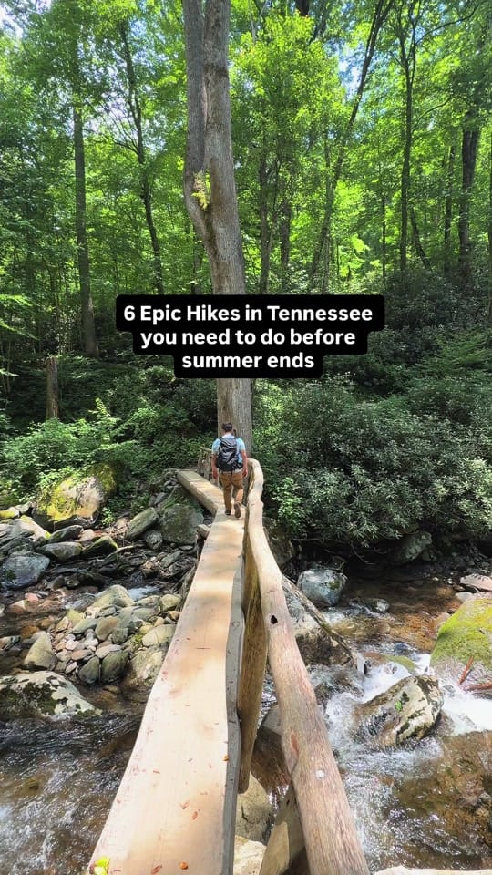 Post 1 by Michael Enriquez on TikTok (video)