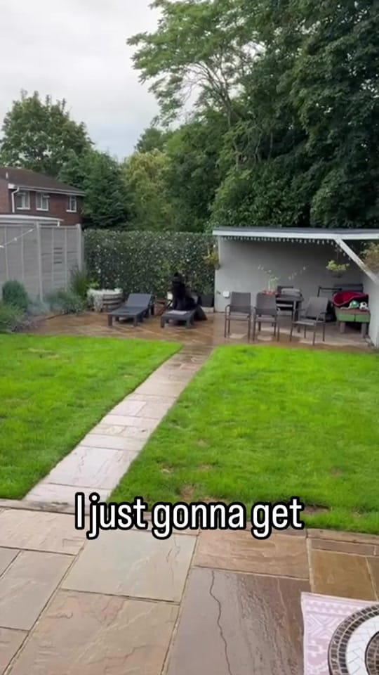 Post 10 by Newfypups on TikTok (video)