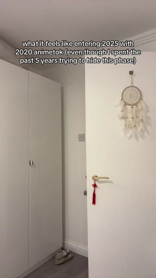 Post 5 by 🌸hannie 하니🌸 on TikTok (video)