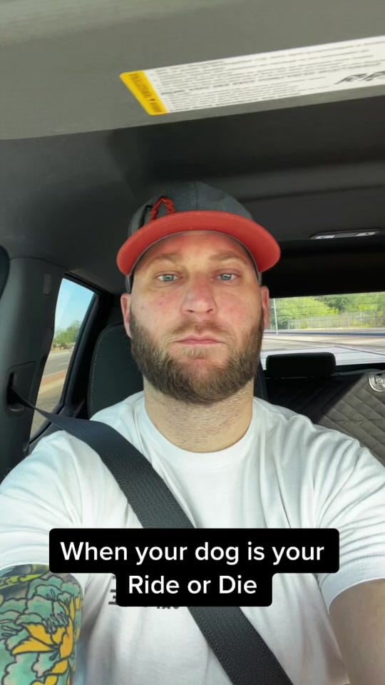 Post 4 by Steven C on TikTok (video)