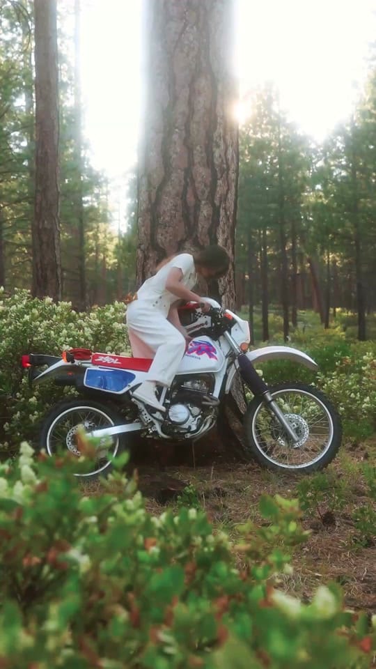 Post 2 by Alexandra on TikTok (video)