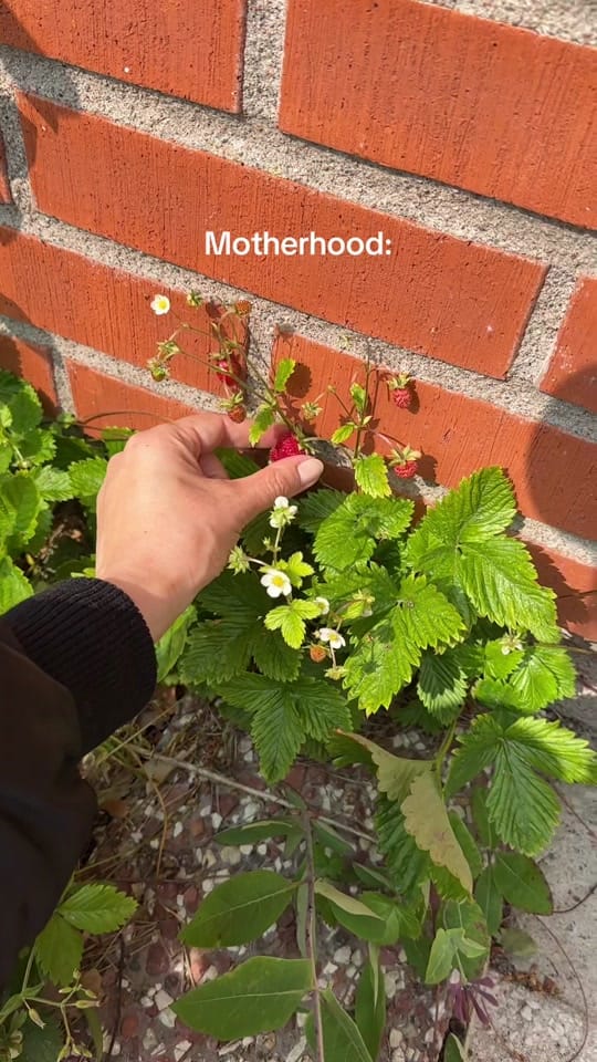 Post 4 by Blogbynoelle on TikTok (video)