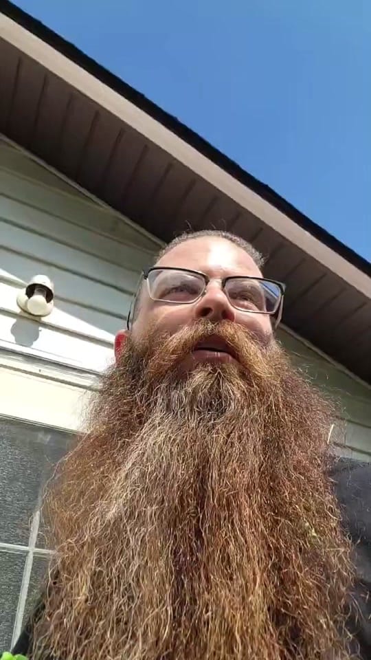 Post 8 by Rooster on TikTok (video)