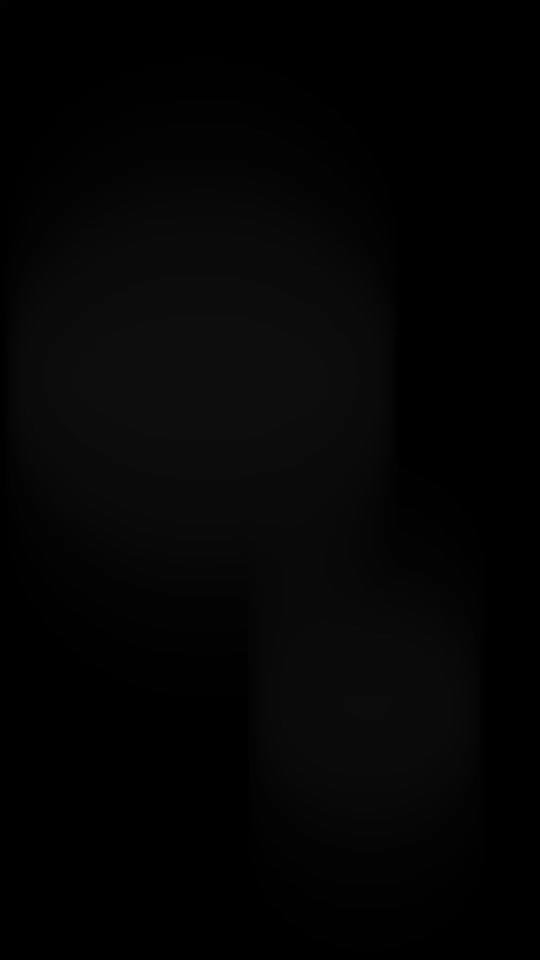 Post 3 by Bogart The MorkieBugg  🇨🇦 on TikTok (video)