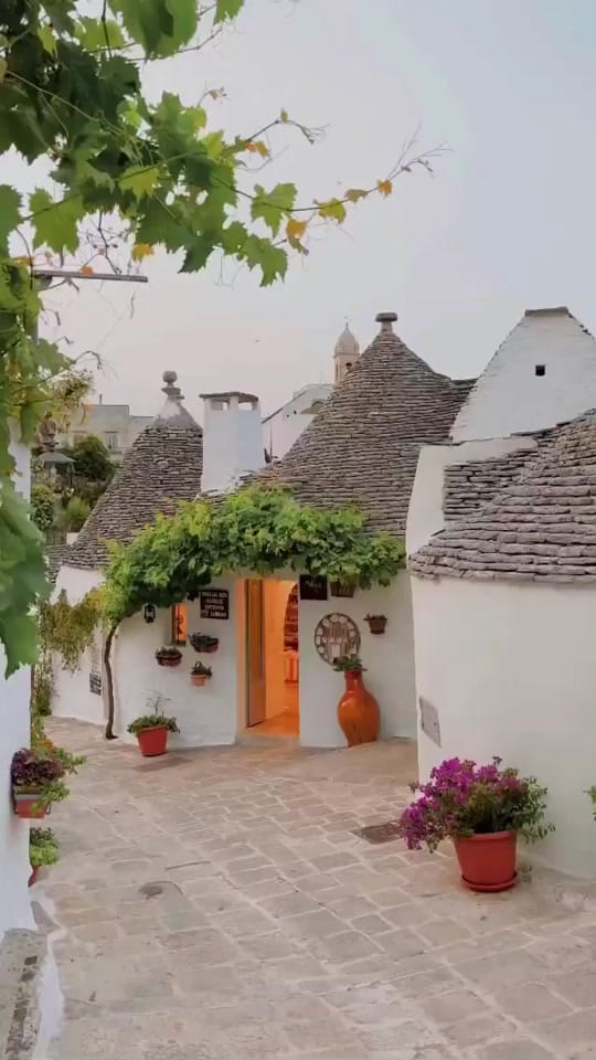 Post 4 by Quinn Johnston on TikTok (video)
