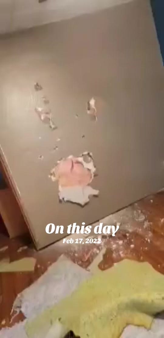 Post 6 by overworkedpony on TikTok (video)
