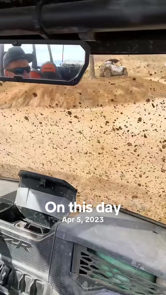 Post 2 by overworkedpony on TikTok (video)