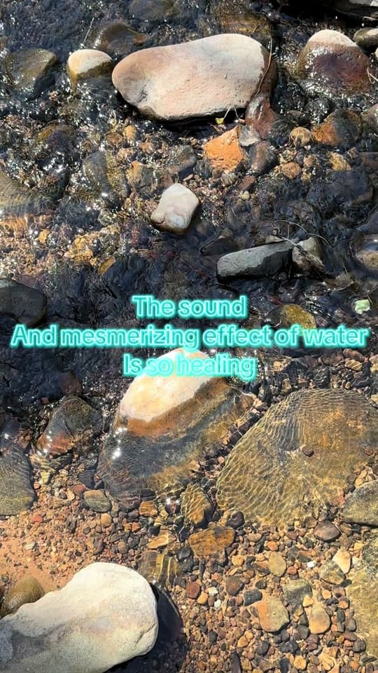 Post 3 by Lisa Millman-Brown on TikTok (video)