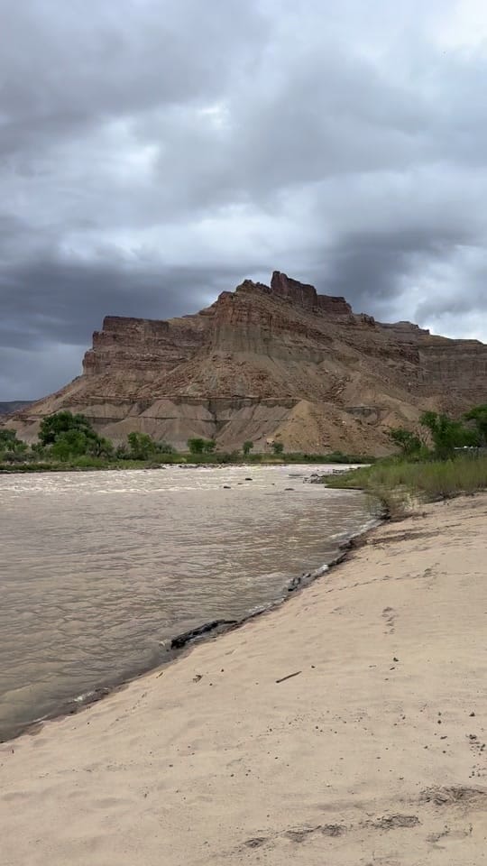 Post 7 by Lisa Millman-Brown on TikTok (video)