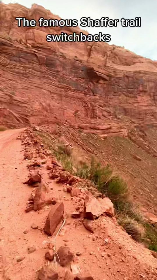 Post 9 by Lisa Millman-Brown on TikTok (video)