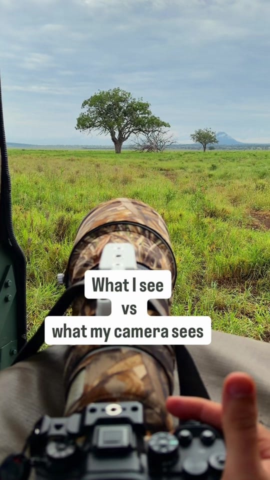 Post 7 by Tyler Cave on TikTok (video)