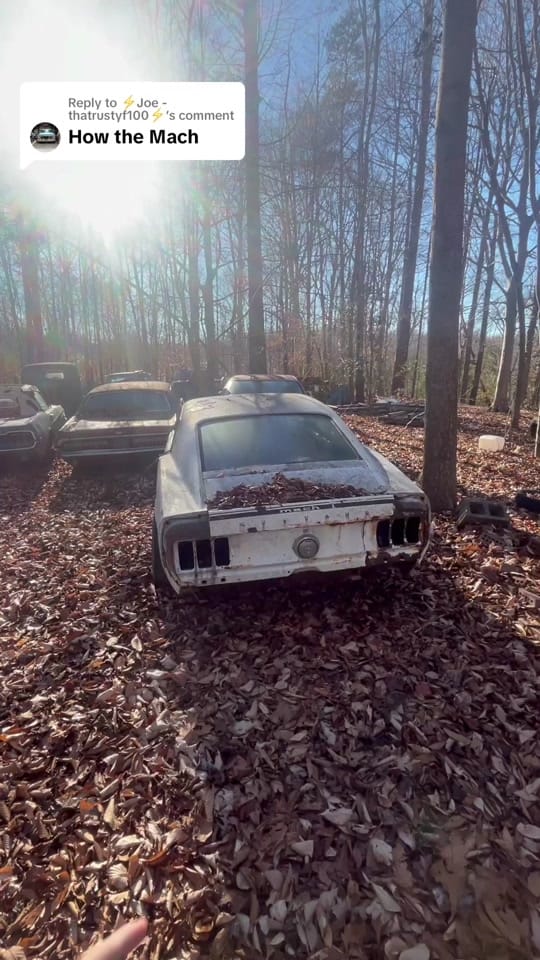 Post 3 by Josh Jacobs on TikTok (video)