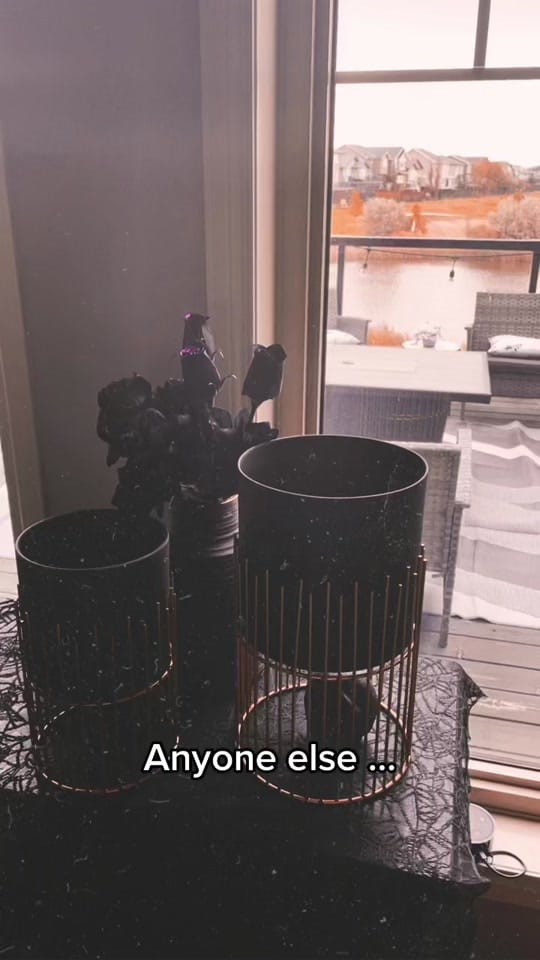 Post 1 by Amanda Dee on TikTok (video)