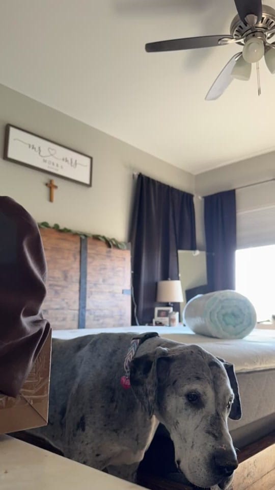 Post 5 by ✨Shannen✨ on TikTok (video)