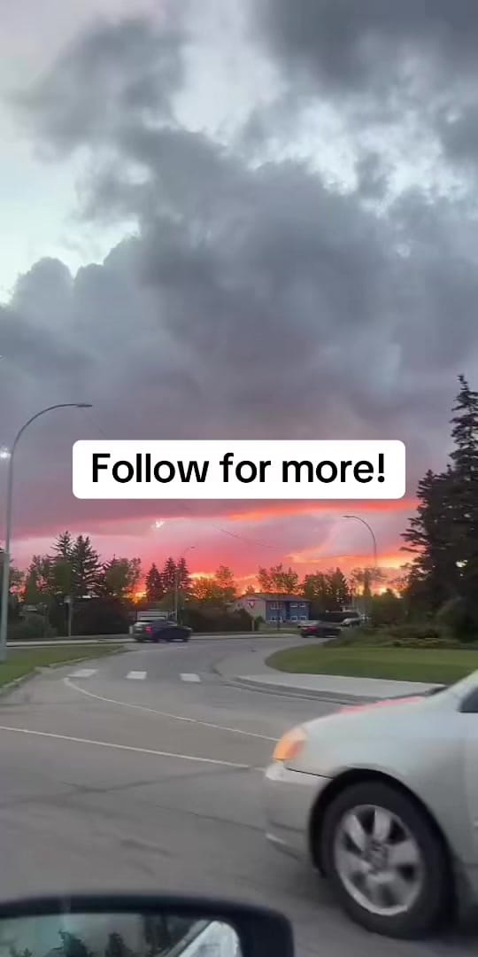Post 2 by Melissa Gets Around 🇨🇦 on TikTok (video)