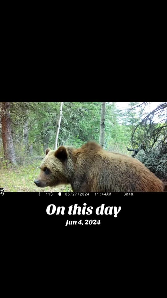 Post 3 by Brad Stokke on TikTok (video)