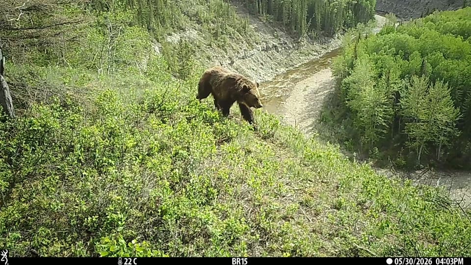 Post 7 by Brad Stokke on TikTok (video)