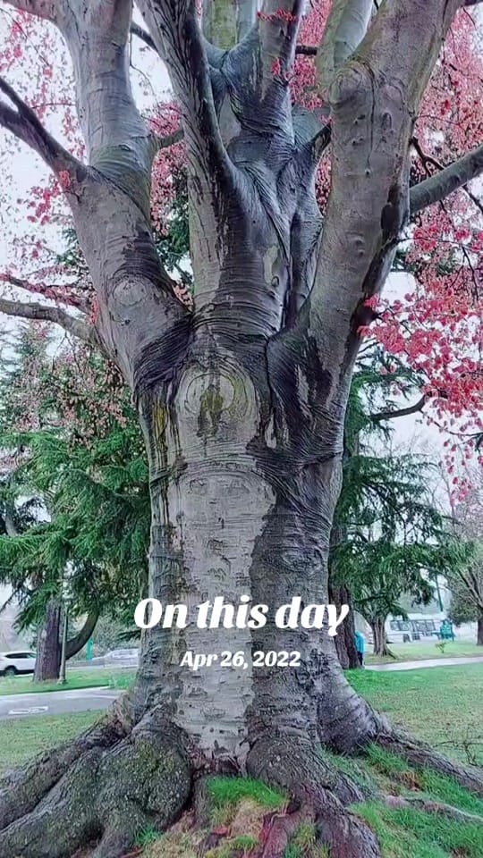 Post 6 by Edgar Equiz on TikTok (video)