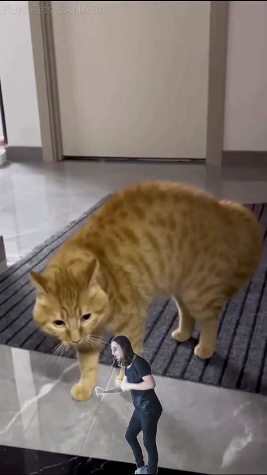 Post 10 by FUN O'Canada on TikTok (video)