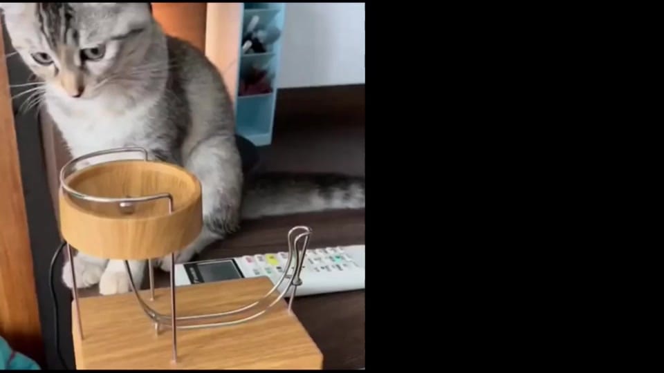 Post 3 by FUN O'Canada on TikTok (video)