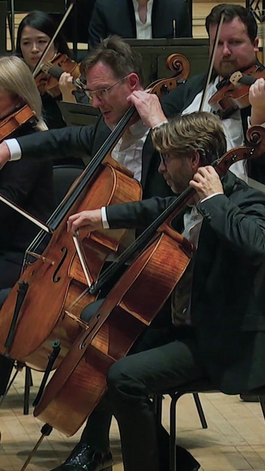 Post 8 by LSO on TikTok (video)
