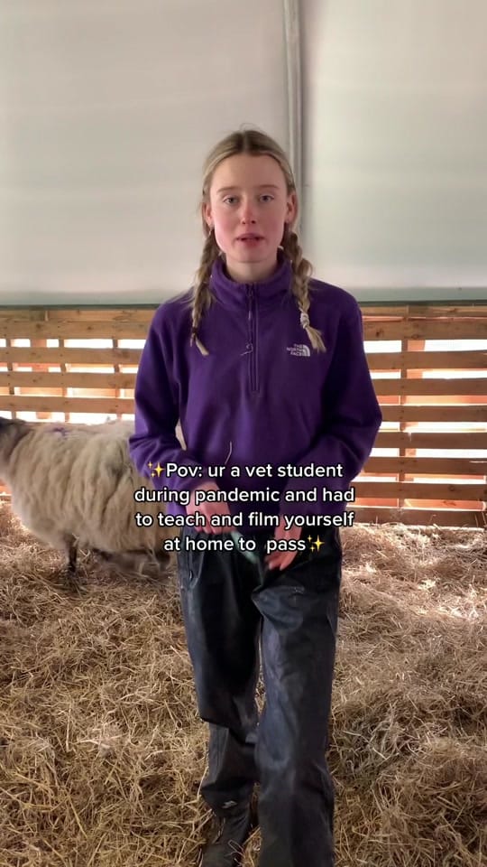 Post 10 by Charlotte Moloney915 on TikTok (video)