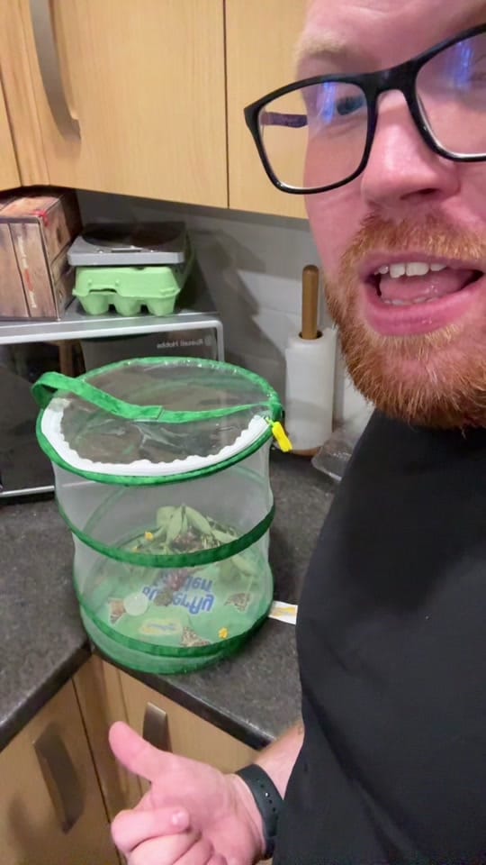 Post 5 by revmattdavis on TikTok (video)