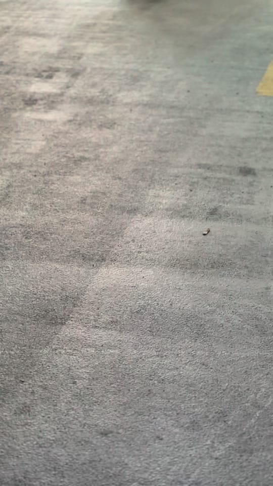 Post 7 by Austin Brezinski on TikTok (video)