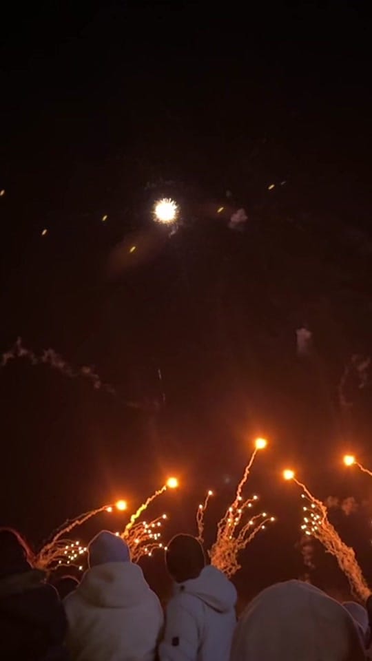Post 7 by Megan Domingos on TikTok (video)