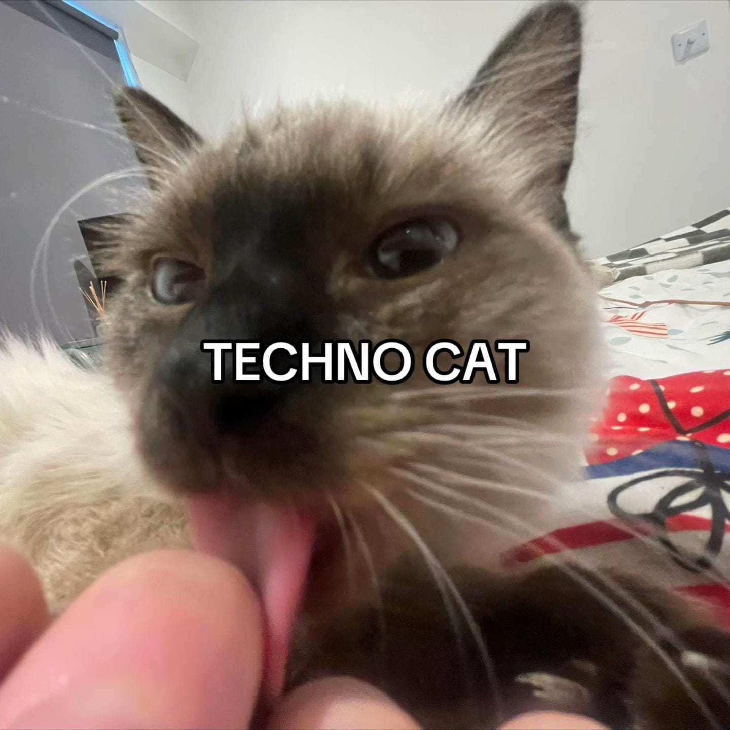 Post 5 by Keppie on TikTok (video)