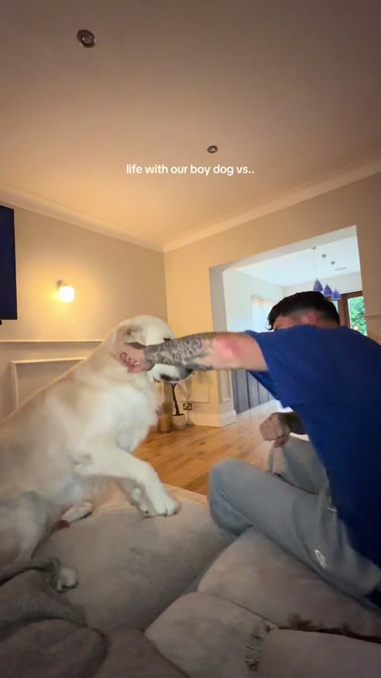 Post 8 by Alisha 🧸 on TikTok (video)